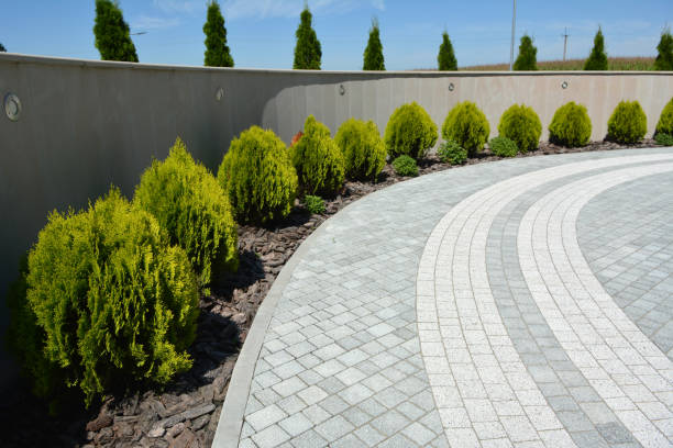 Best Driveway Repair Near Me  in Laughlin Af, TX